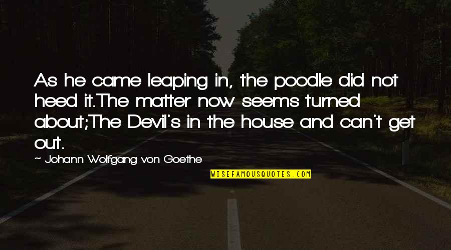 Allah Advice Quotes By Johann Wolfgang Von Goethe: As he came leaping in, the poodle did