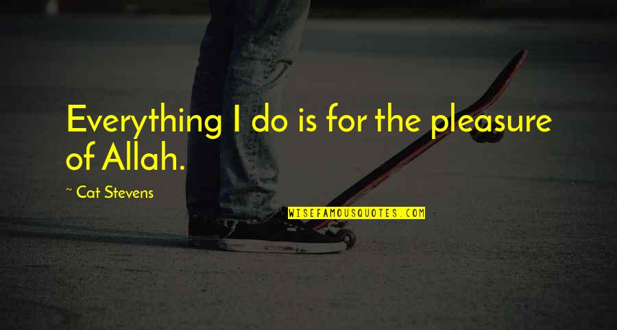 Allah's Quotes By Cat Stevens: Everything I do is for the pleasure of