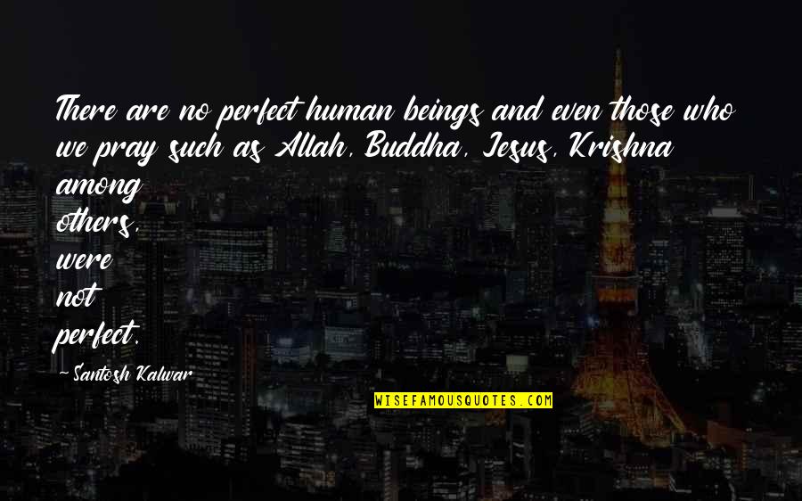 Allah's Quotes By Santosh Kalwar: There are no perfect human beings and even