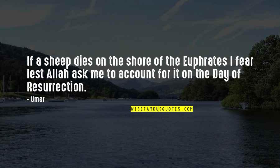 Allah's Quotes By Umar: If a sheep dies on the shore of