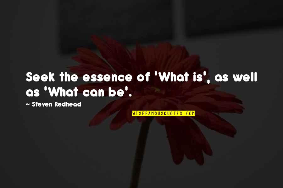 Allan Quartermain Quotes By Steven Redhead: Seek the essence of 'What is', as well