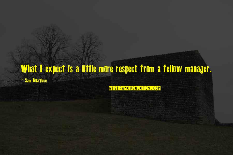 Allardyce Sam Quotes By Sam Allardyce: What I expect is a little more respect