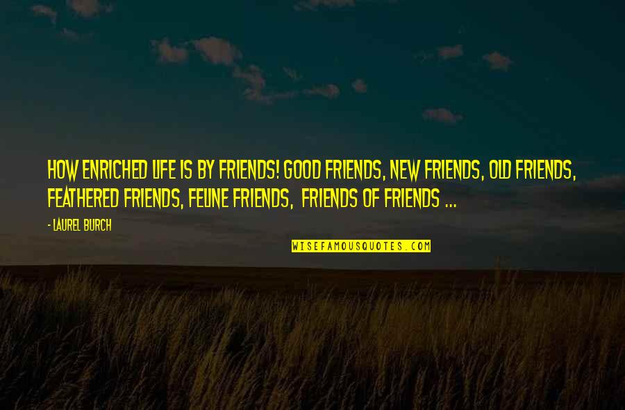 Allear Quotes By Laurel Burch: How enriched life is by friends! Good friends,
