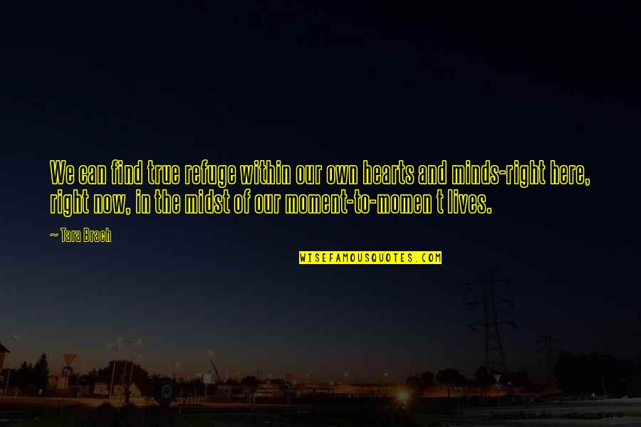 Alleghenies Ucp Quotes By Tara Brach: We can find true refuge within our own Alleghenies Ucp Quotes By Tara Brach: We can find true refuge within our own
