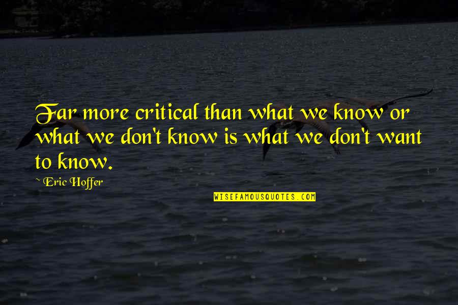 Allegras Bar Branford Ct Quotes By Eric Hoffer: Far more critical than what we know or