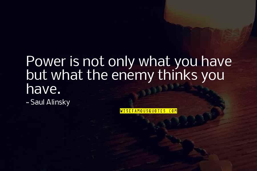 Allemant Champagne Quotes By Saul Alinsky: Power is not only what you have but