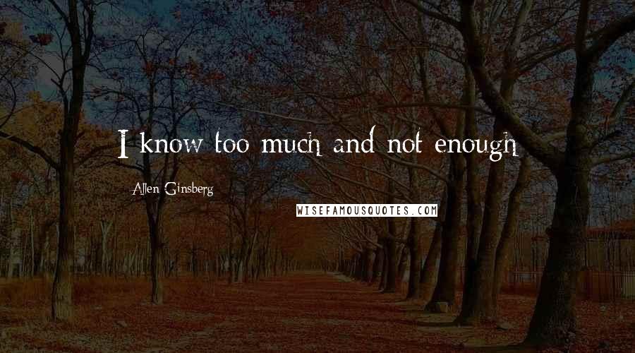 Allen Ginsberg quotes: I know too much and not enough