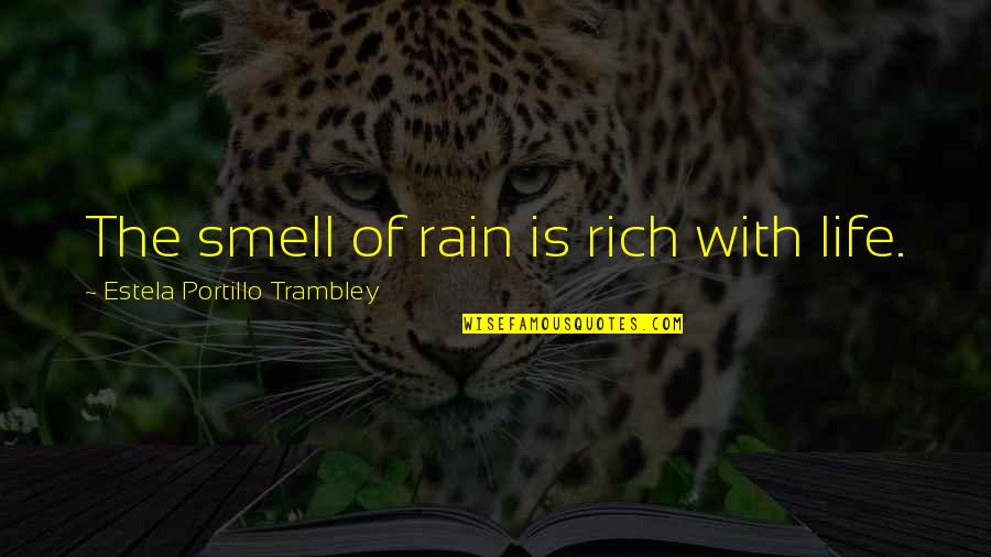 Alles Heeft Een Reden Quotes By Estela Portillo Trambley: The smell of rain is rich with life.