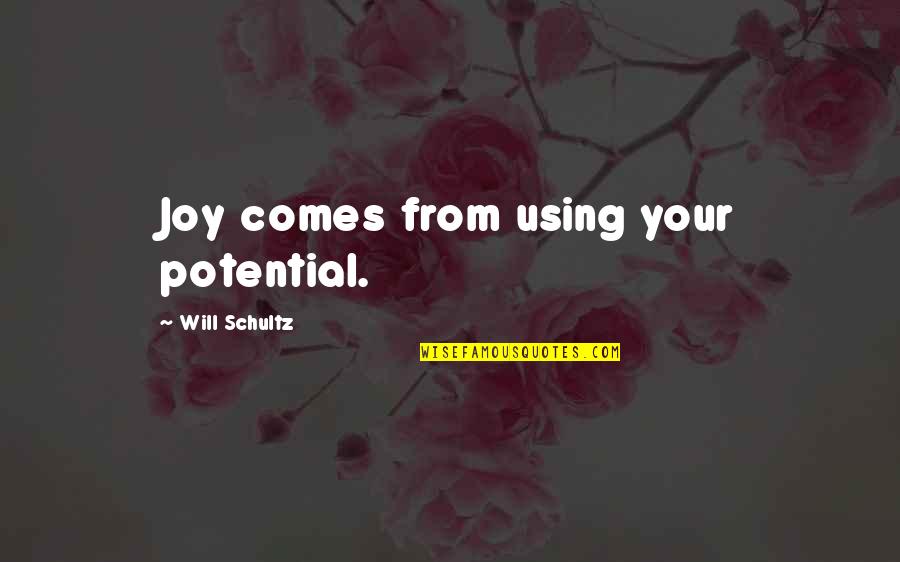 Alleson Sportswear Quotes By Will Schultz: Joy comes from using your potential.