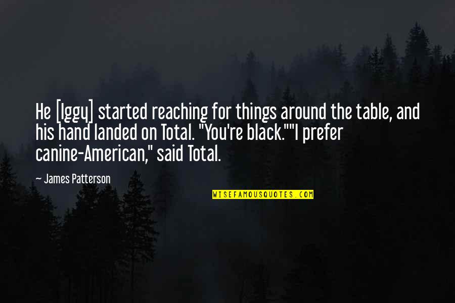 Allestire Quotes By James Patterson: He [Iggy] started reaching for things around the