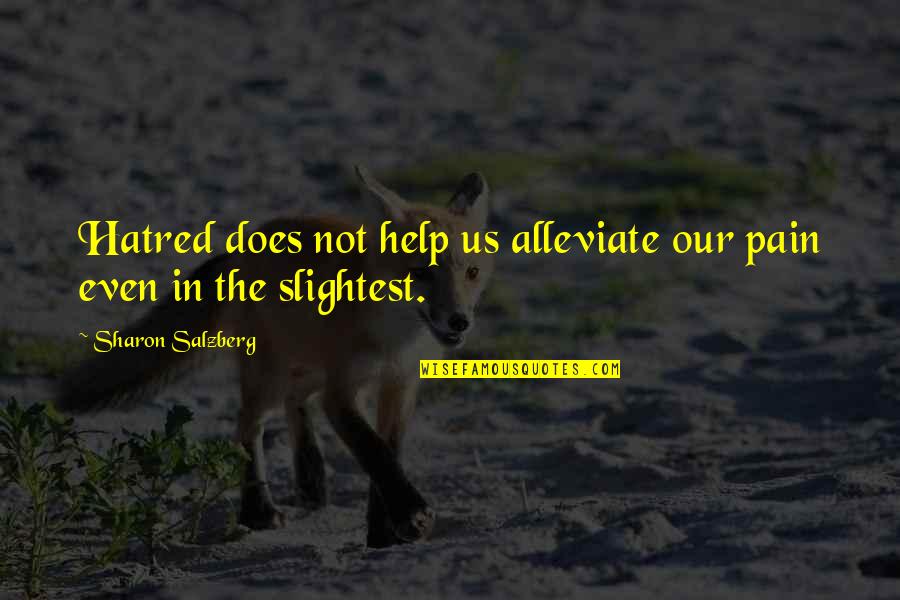 Alleviate Quotes By Sharon Salzberg: Hatred does not help us alleviate our pain Alleviate Quotes By Sharon Salzberg: Hatred does not help us alleviate our pain