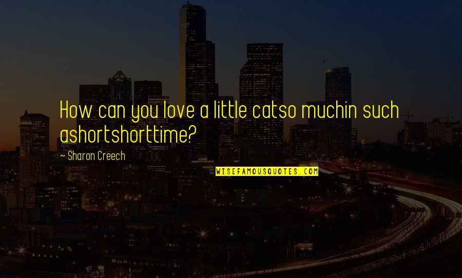 Alleviator Quotes By Sharon Creech: How can you love a little catso muchin