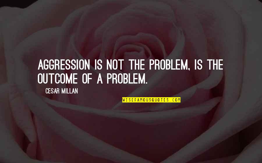 Allicat Quotes By Cesar Millan: Aggression is not the problem, is the outcome