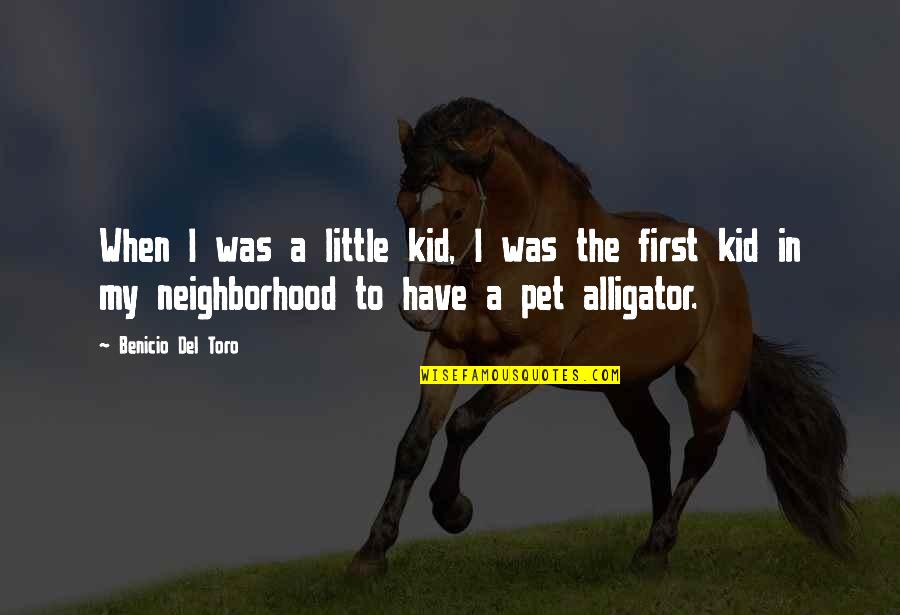Alligator Quotes By Benicio Del Toro: When I was a little kid, I was