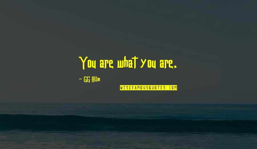 Allin Quotes By GG Allin: You are what you are. Allin Quotes By GG Allin: You are what you are.
