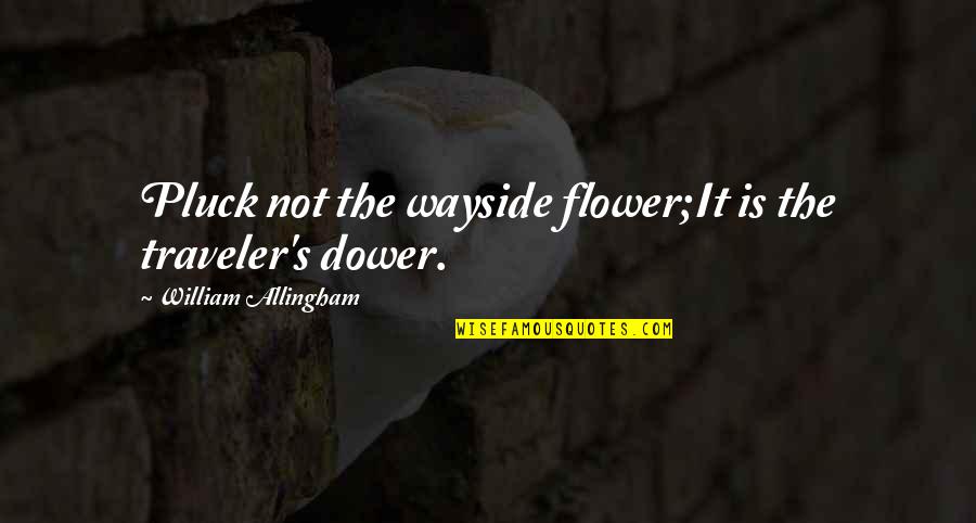 Allingham Quotes By William Allingham: Pluck not the wayside flower;It is the traveler's