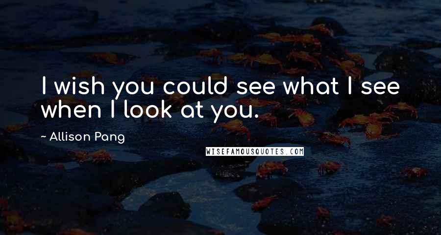 Allison Pang quotes: I wish you could see what I see when I look at you.