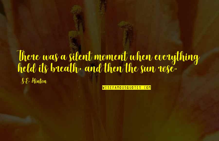 Allison Ryder Quotes By S.E. Hinton: There was a silent moment when everything held