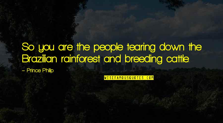 Allo Allo Crabtree Quotes By Prince Philip: So you are the people tearing down the