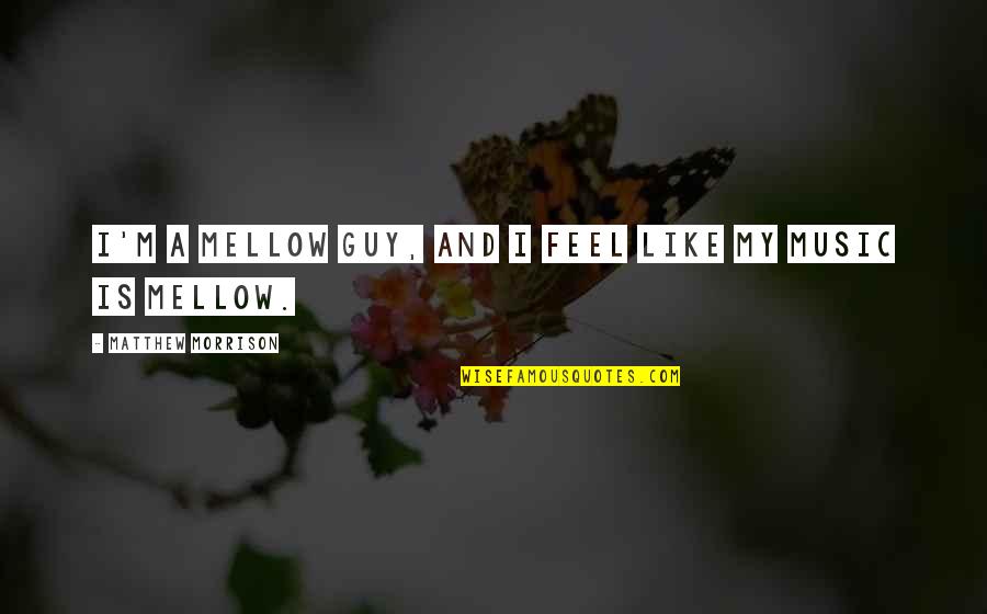 Allombra Quotes By Matthew Morrison: I'm a mellow guy, and I feel like