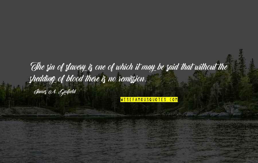 Allotment Garden Quotes By James A. Garfield: The sin of slavery is one of which Allotment Garden Quotes By James A. Garfield: The sin of slavery is one of which