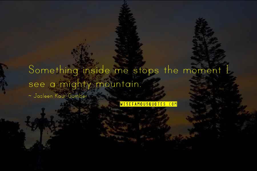 Allouch Mohamed Quotes By Jasleen Kaur Gumber: Something inside me stops the moment I see