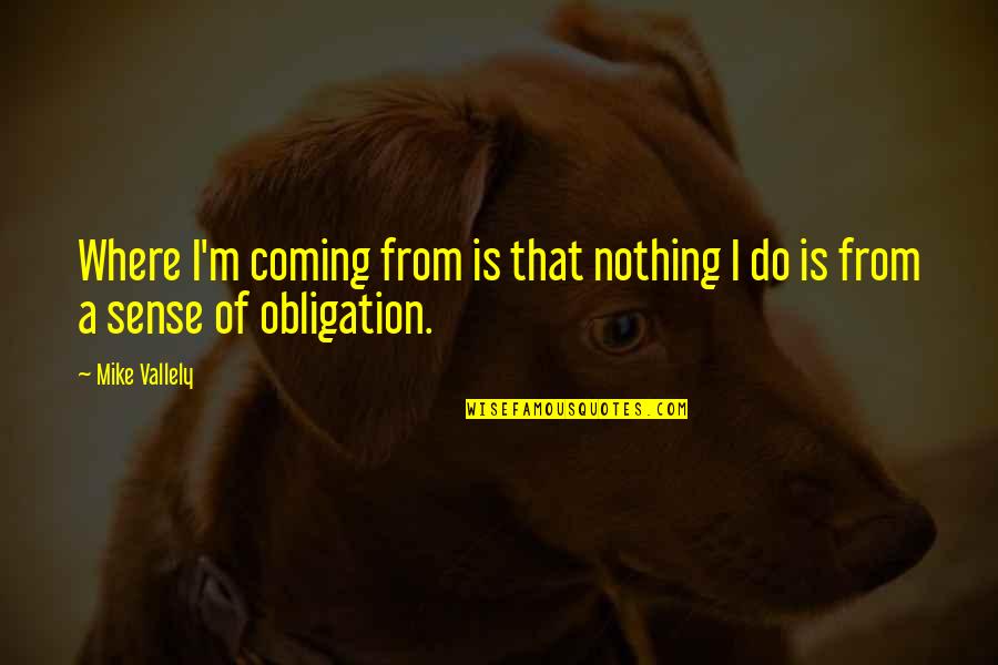 Allouche Rabbi Quotes By Mike Vallely: Where I'm coming from is that nothing I