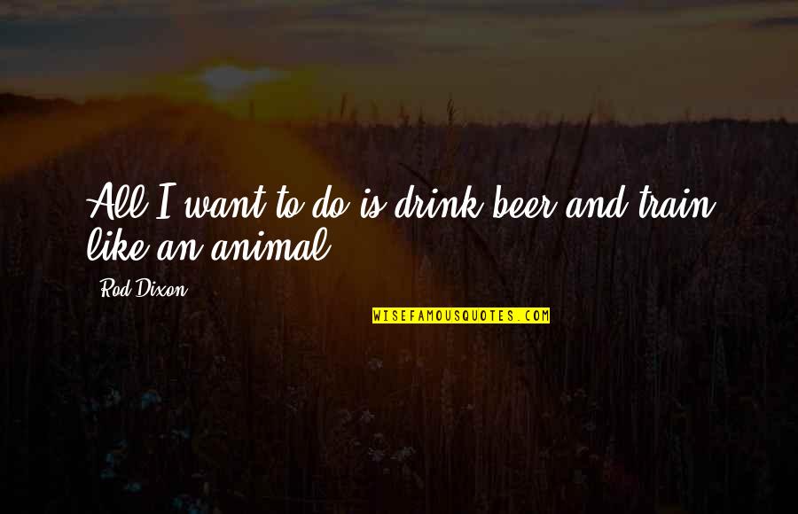 Allouche Rabbi Quotes By Rod Dixon: All I want to do is drink beer