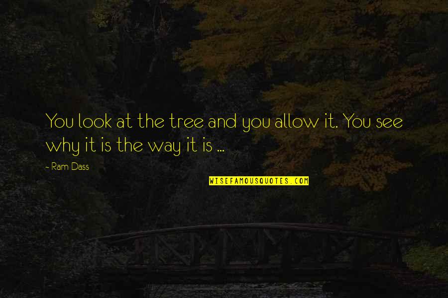 Allow Quotes By Ram Dass: You look at the tree and you allow