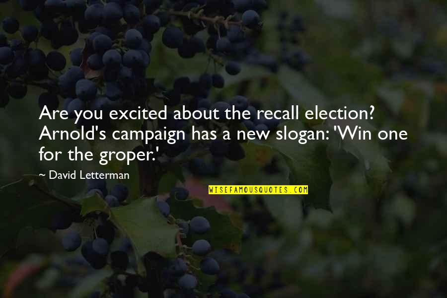 Allurement Quotes By David Letterman: Are you excited about the recall election? Arnold's