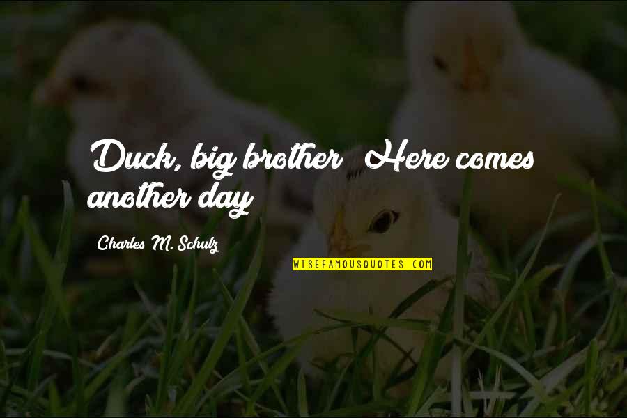 Allynet Quotes By Charles M. Schulz: Duck, big brother! Here comes another day!