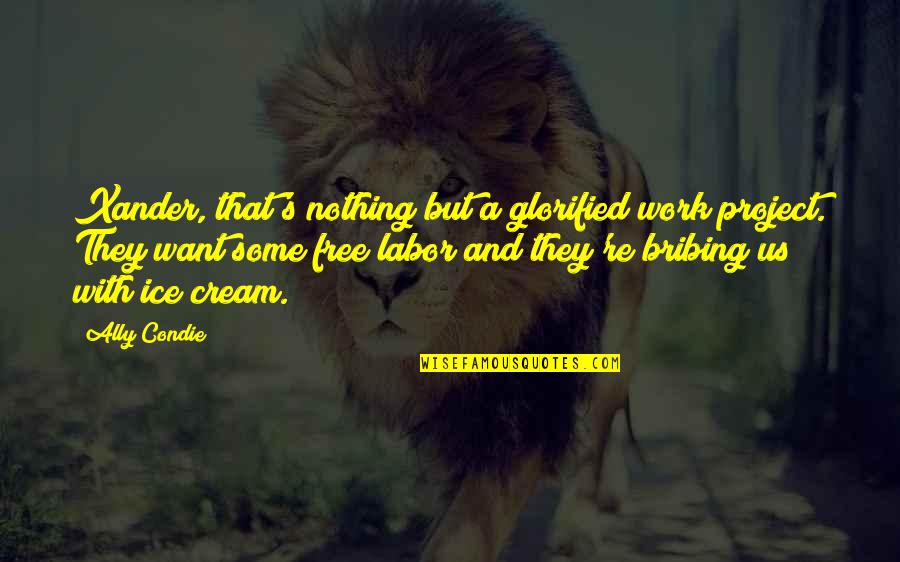 Ally's Quotes By Ally Condie: Xander, that's nothing but a glorified work project.