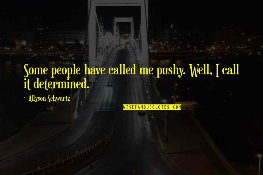 Allyson Schwartz Quotes By Allyson Schwartz: Some people have called me pushy. Well, I