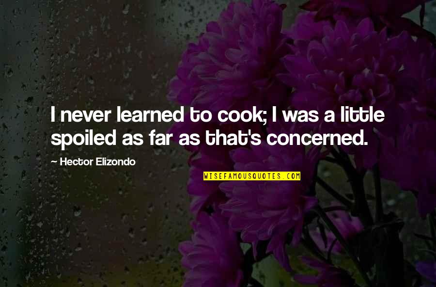 Almaty Quotes By Hector Elizondo: I never learned to cook; I was a
