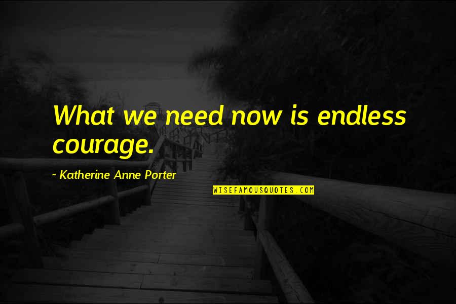 Alminnelig Inntekt Quotes By Katherine Anne Porter: What we need now is endless courage.