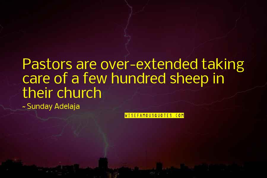 Almirante Nelson Quotes By Sunday Adelaja: Pastors are over-extended taking care of a few