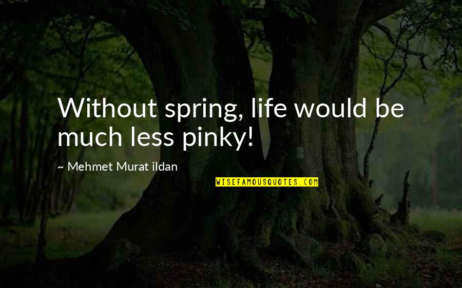 Almoners Report Quotes By Mehmet Murat Ildan: Without spring, life would be much less pinky!