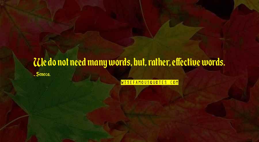 Almoners Report Quotes By Seneca.: We do not need many words, but, rather,
