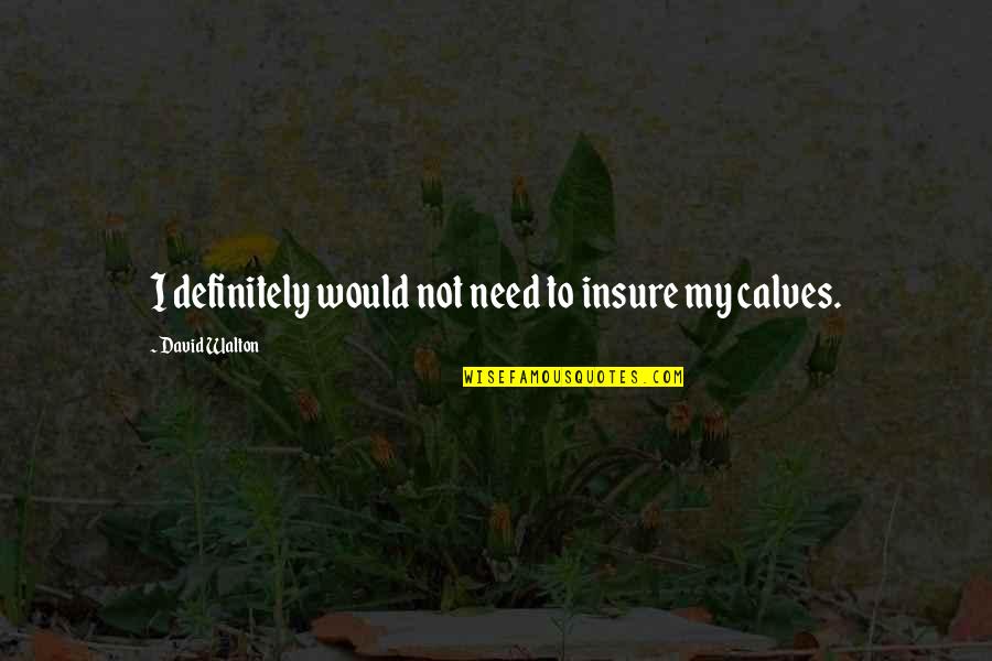 Almonry Schools Quotes By David Walton: I definitely would not need to insure my