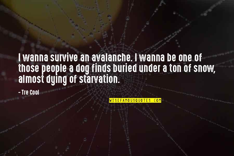 Almost Dying Quotes By Tre Cool: I wanna survive an avalanche. I wanna be Almost Dying Quotes By Tre Cool: I wanna survive an avalanche. I wanna be