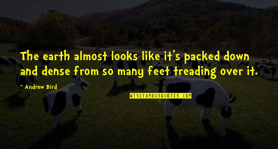 Almost Over Quotes By Andrew Bird: The earth almost looks like it's packed down