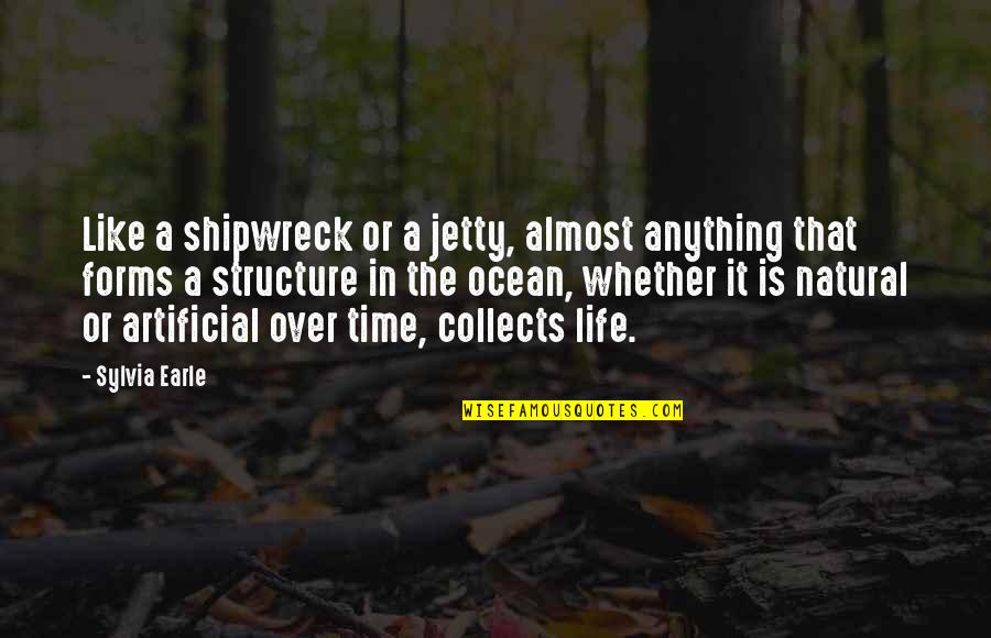 Almost Over Quotes By Sylvia Earle: Like a shipwreck or a jetty, almost anything