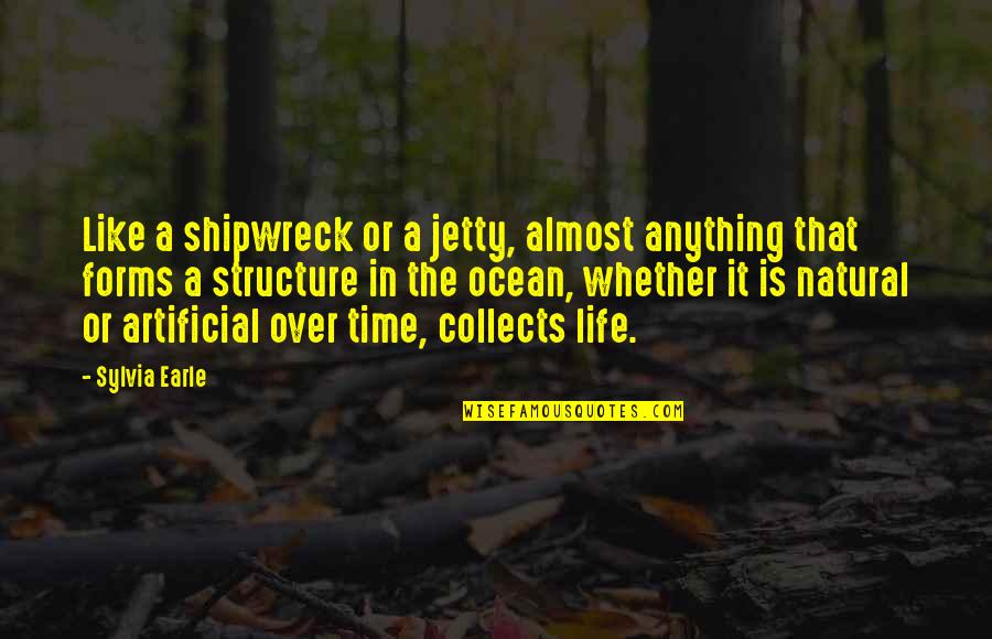 Almost Time Quotes By Sylvia Earle: Like a shipwreck or a jetty, almost anything