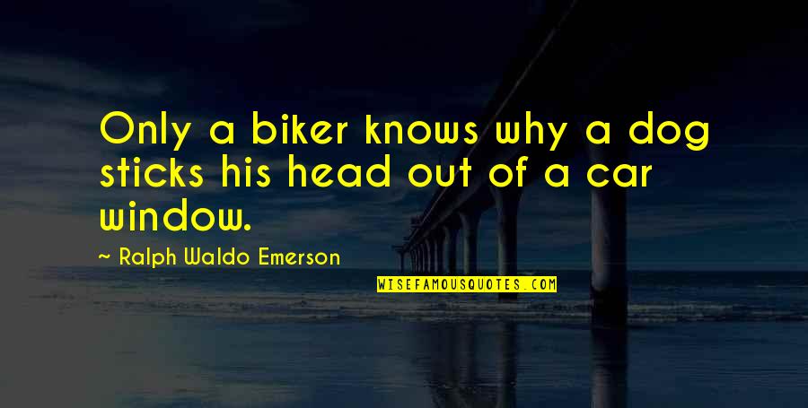 Alnese Quotes By Ralph Waldo Emerson: Only a biker knows why a dog sticks
