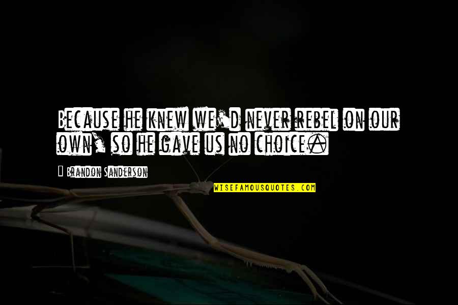Alnp North Quotes By Brandon Sanderson: Because he knew we'd never rebel on our