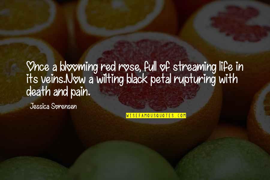 Alocados Black Quotes By Jessica Sorensen: Once a blooming red rose, full of streaming