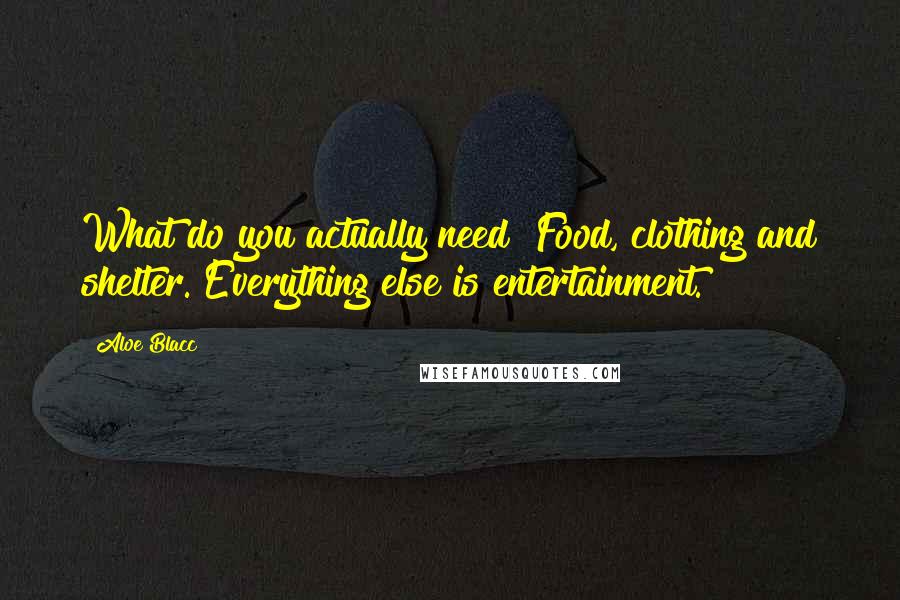 Aloe Blacc quotes: What do you actually need? Food, clothing and shelter. Everything else is entertainment.