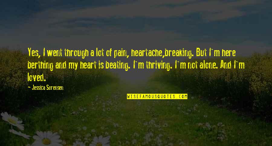 Alone And Pain Quotes By Jessica Sorensen: Yes, I went through a lot of pain, Alone And Pain Quotes By Jessica Sorensen: Yes, I went through a lot of pain,