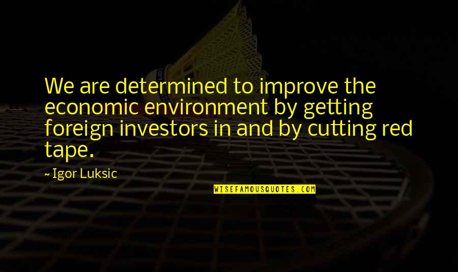 Alone Boy Quotes By Igor Luksic: We are determined to improve the economic environment Alone Boy Quotes By Igor Luksic: We are determined to improve the economic environment