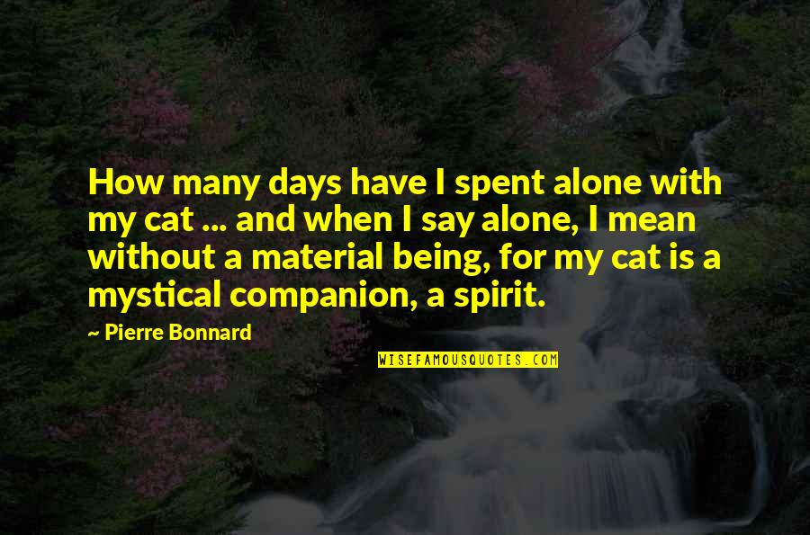 Alone Cat Quotes By Pierre Bonnard: How many days have I spent alone with